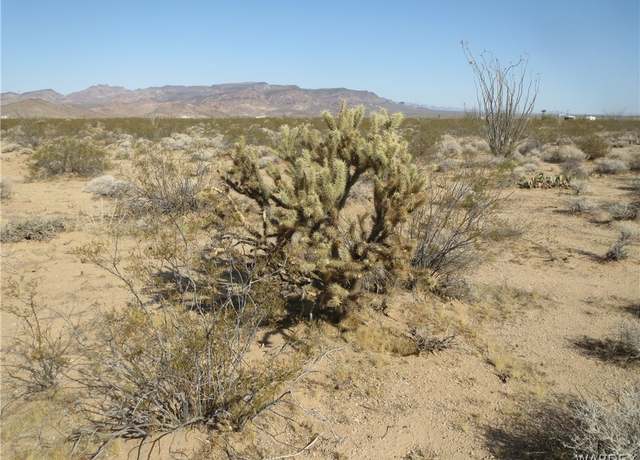 Property at Lots 49-51 Rio Vista 2 Subdivision, Topock, AZ 86436