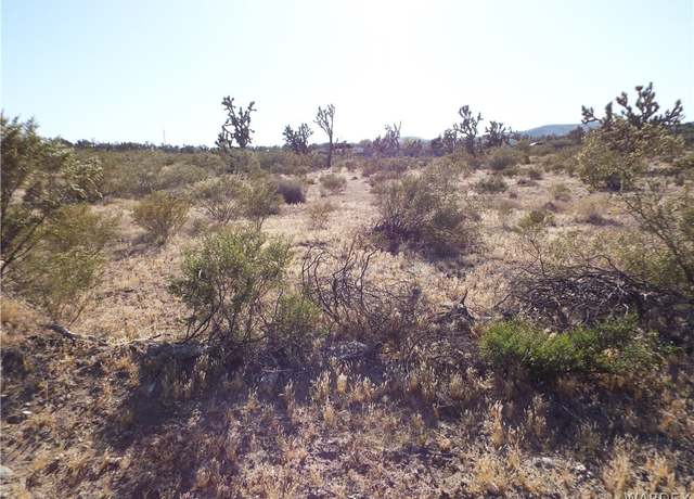 Property at 17773 Laurel Dr, Dolan Springs, AZ 86441