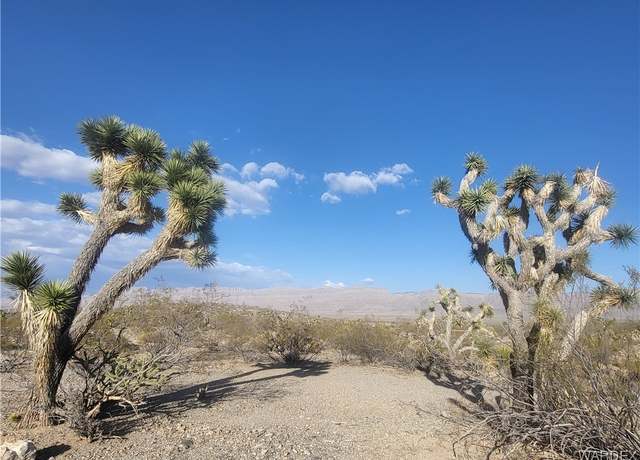 Property at 1765 W Las Vegas Dr, Meadview, AZ 86444