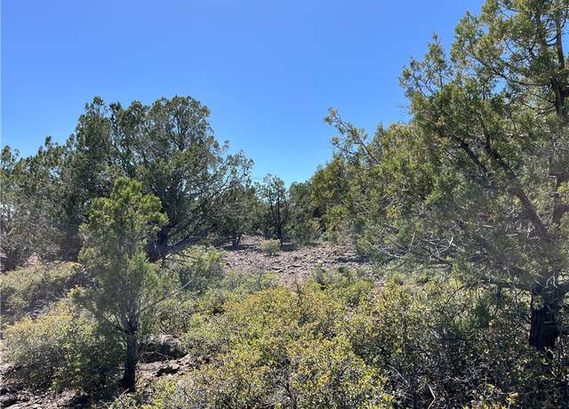Property at 243 N Kit Fox Trl, Kingman, AZ 86401
