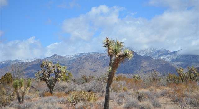 Photo of Lot 767 Alamo/la Cienega Rd, Yucca, AZ 86438