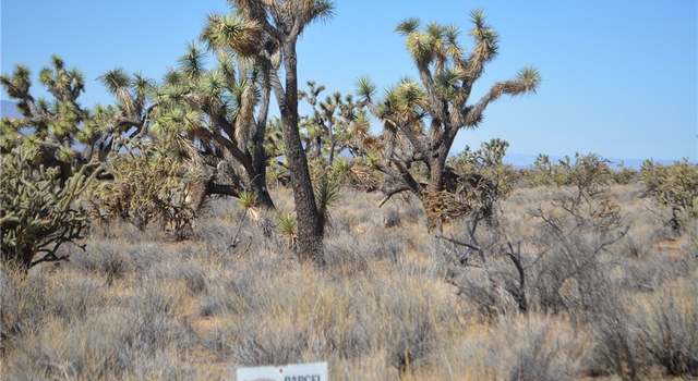 Photo of Lot 2664 Rawhide Rd, Yucca, AZ 86438