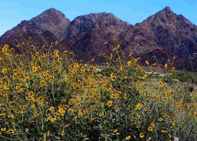 Property at 00000 36e Unit 36E 11 1/2 and 11 3/4, Wellton, AZ 85356
