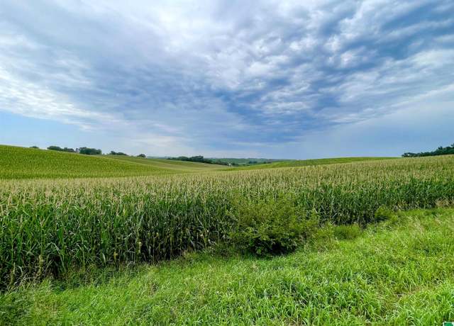 Property at TBD Old Hwy 141, Sergeant Bluff, IA 51054