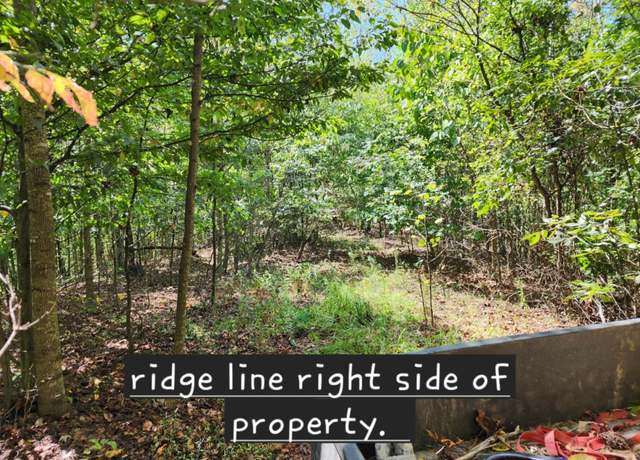 Property at 127 Neace Holw, Greenup, KY 41144