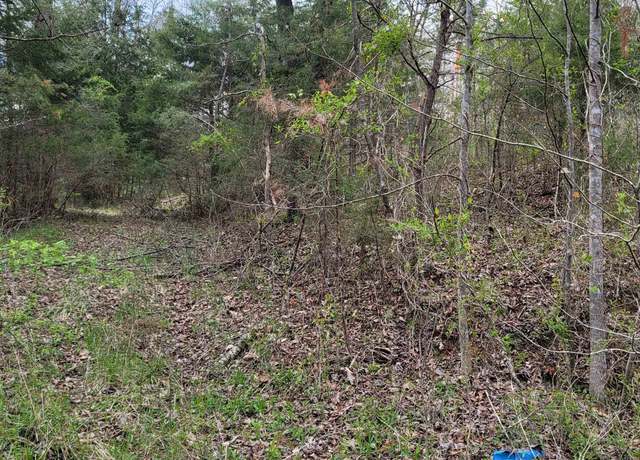 Property at 0 Duck Puddle Rd, Greenup, KY 41144