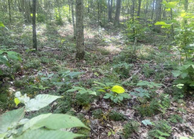 Property at 25 ac Rowe/roe Crk, Catlettsburg, KY 41129
