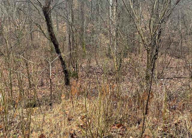 Property at 0 White Rd, Warfield, KY 41267