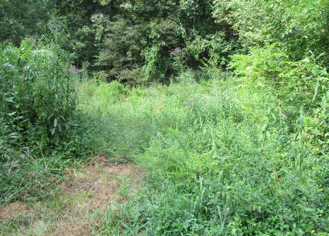 Property at 000 Hardtime Drive Rds, South Shore, KY 41175