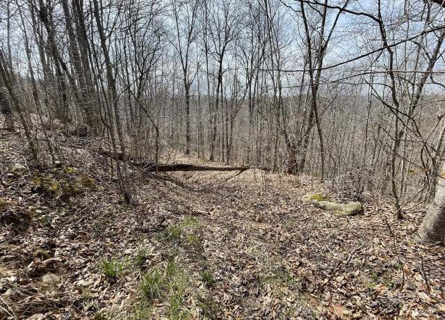 Property at 0 Wade Adkins Branch Rd, Kiahsville, WV 25512