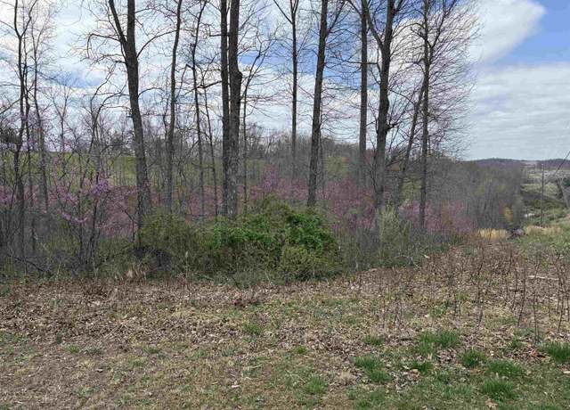 Property at Lot 8 Eagle Dr, Catlettsburg, KY 41129