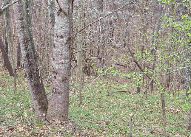Property at Kiser Fork Rd, Olive Hill, KY 41164