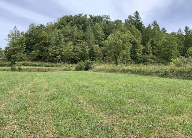 Property at Lick Creek Rd, Webbville, KY 41180