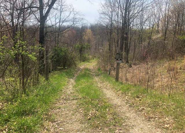 Property at State Highway 986, Olive Hill, KY 41164