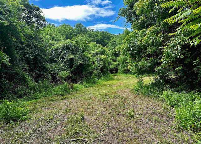 Property at Tract #5 Holt Rd, Louisa, KY 41230