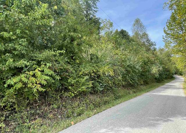Property at 0 Charlie Br, Olive Hill, KY 41164