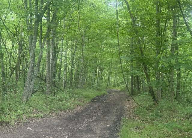 Property at 169 Acres Land Greasy Rdg, Sandy Hook, KY 41171