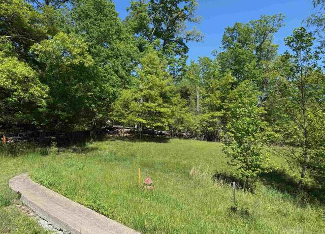 Property at Lot #9 Meadow Glen Rd, Flatwoods, KY 41139