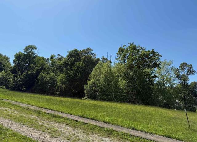 Property at Lot #16 Meadow Glen Rd, Flatwoods, KY 41139