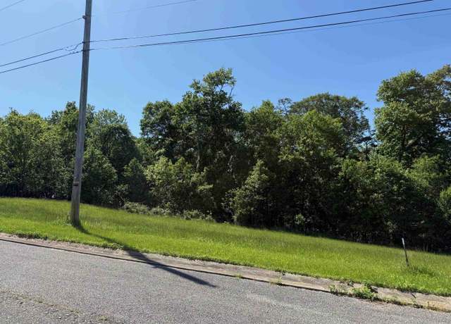 Property at Lot #19 Meadow Glen Rd, Flatwoods, KY 41139