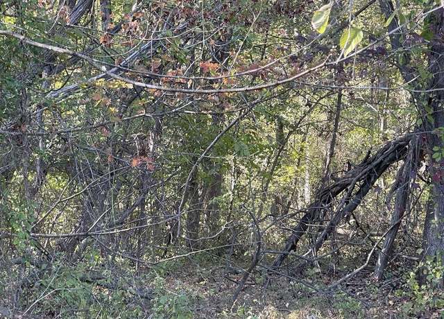 Property at 0 Muddy Br, Greenup, KY 41144