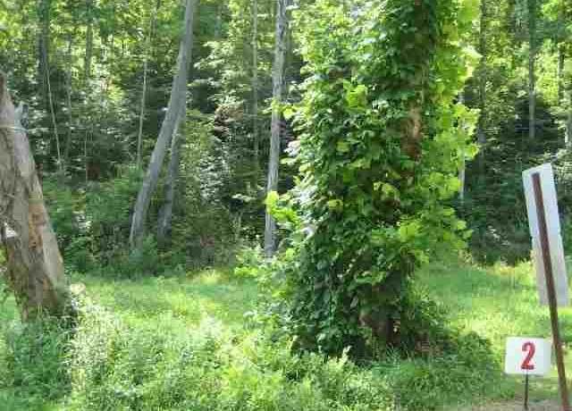 Property at Lot #2 Short White Oak, Russell, KY 41139