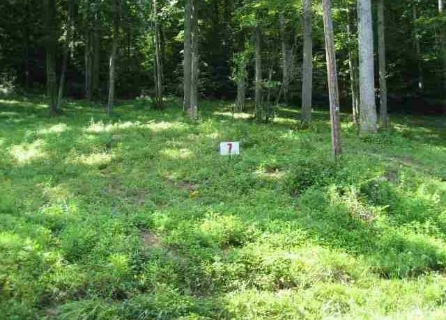 Property at Lot #7 Short White Oak, Russell, KY 41139