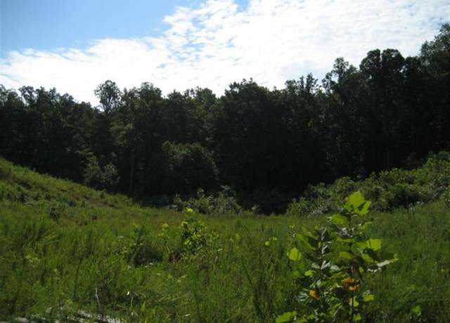 Property at Lot #12 Short White Oak, Russell, KY 41139