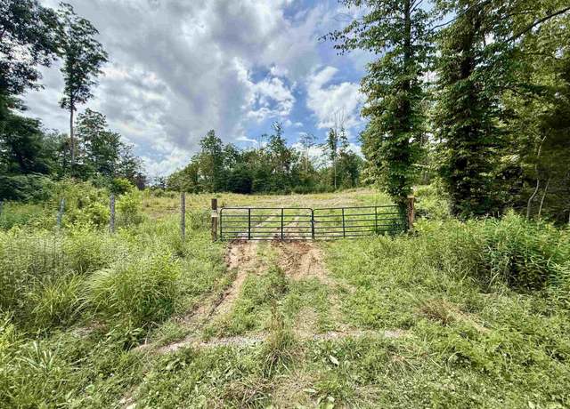 Property at 1481 Kellacey Road Rd, West Liberty, KY 41472