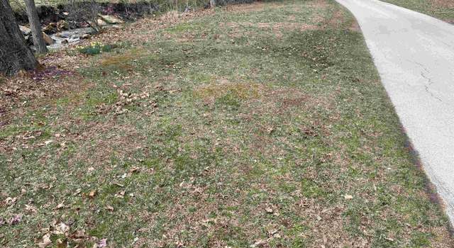 Photo of 390 Little Trace Rd, Garrison, KY 41141