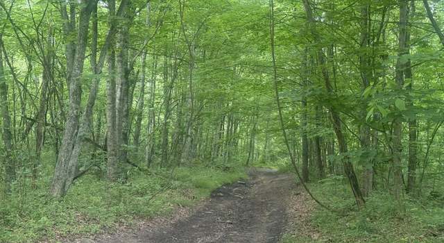 Photo of 169 Acres Land Greasy Rdg, Sandy Hook, KY 41171
