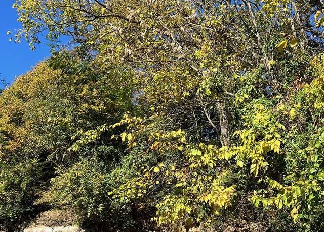 Property at 226 Peach Orchard Drive Lot 6 Dr, Pikeville, KY 41501