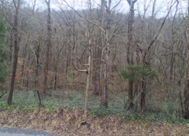 Property at 0 Highway 610 West Map# 039-00-00-016.04 Lot 4, Jonancy, KY 41538