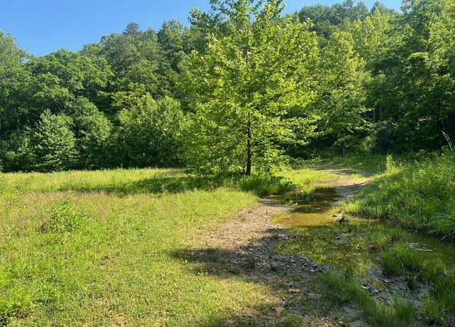 Property at 00 SE Licking River Rd, Gunlock, KY 41640