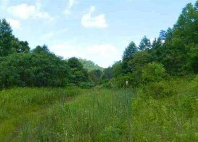 Property at 0 Laurel Creek Rd (db 344, DP 515), Louisa, KY 41230