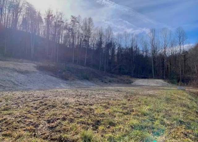Property at 33 Spankem Br, Louisa, KY 41230