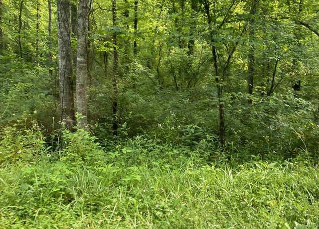 Property at 16165 Brushy Rd, Pikeville, KY 41501