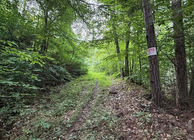 Property at 4000 Left Fork Maces Creek Rd, Viper, KY 41774
