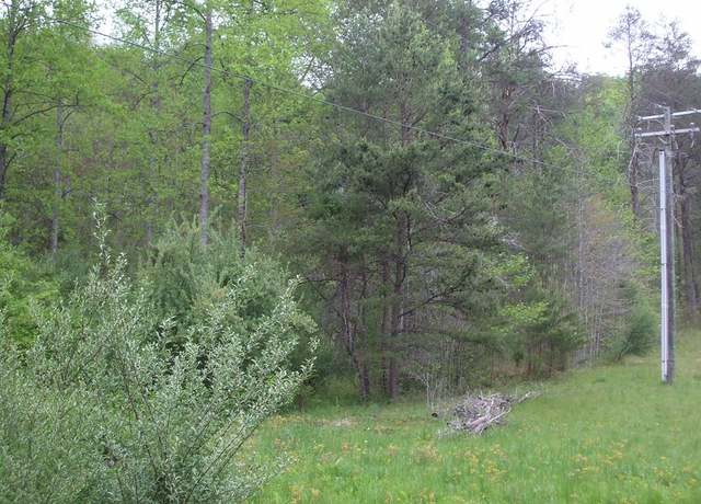 Property at 0 Happy Trails (db 340 DP 074), Staffordsville, KY 41256