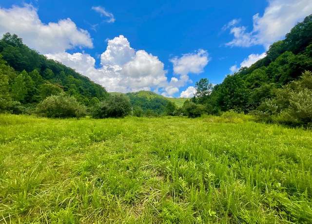 Property at 0 Left Fork Marshalls Br, Jenkins, KY 41537