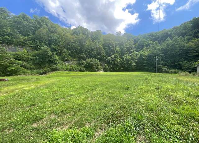 Property at 0000 Raccoon Rd, Raccoon, KY 41501