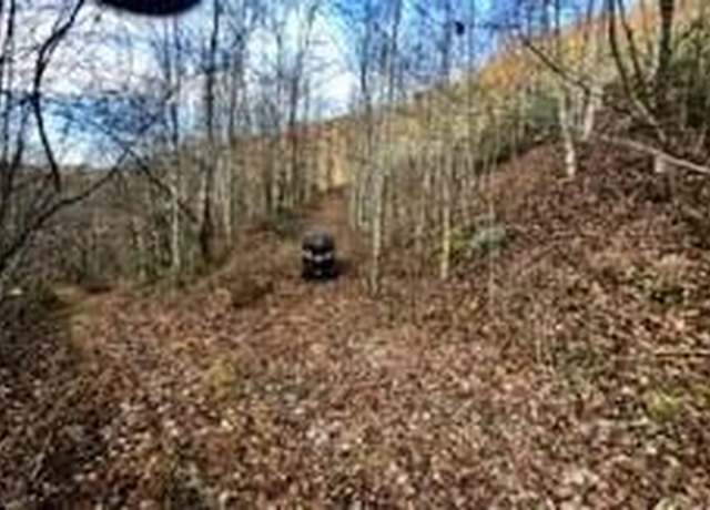 Property at 000 Right Fork of Rockhouse Rd, Pikeville, KY 41501