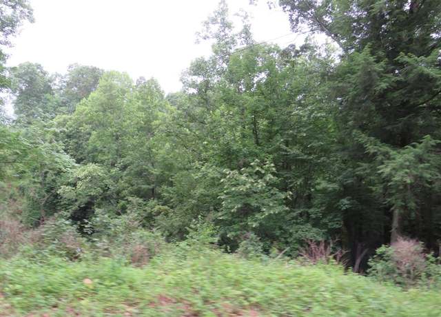 Property at 00 Laurel Flts, Flat Gap, KY 41219