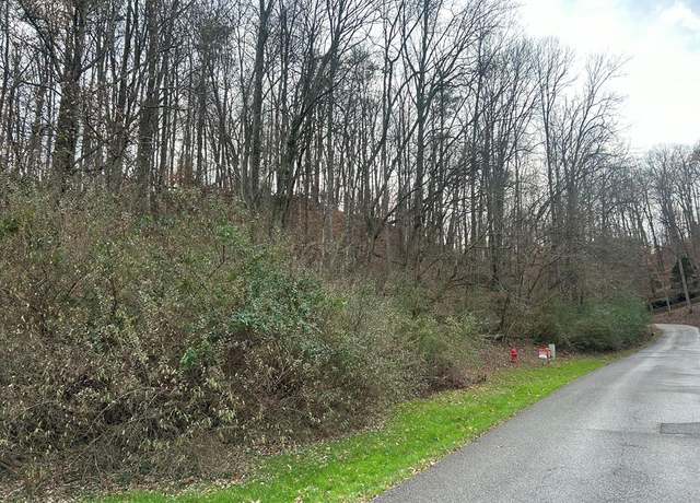 Property at Lot 2 Poplar Grv, Pikeville, KY 41501