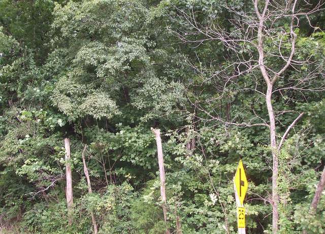 Property at 0 Db 702 Dp 418 Ky Rt 550, Hueysville, KY 41640