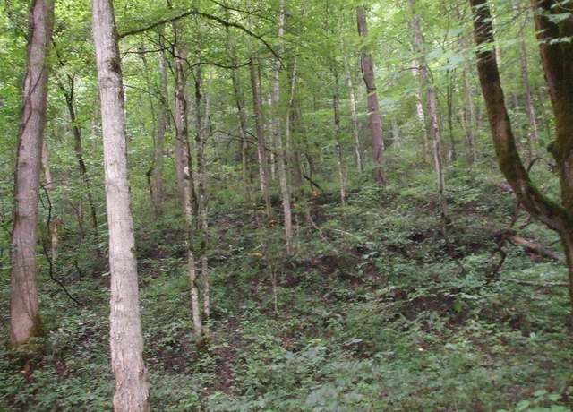 Property at 0 DB 702 DP 418 Midas Rd, Hueysville, KY 41640