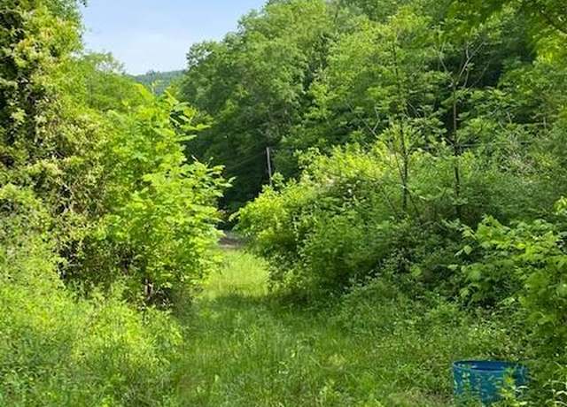 Property at 1300 Left Fork of Toler, Harold, KY 41635