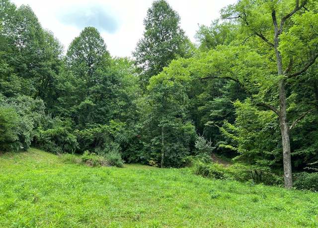 Property at 2887 Left Fork Toler, Harold, KY 41635