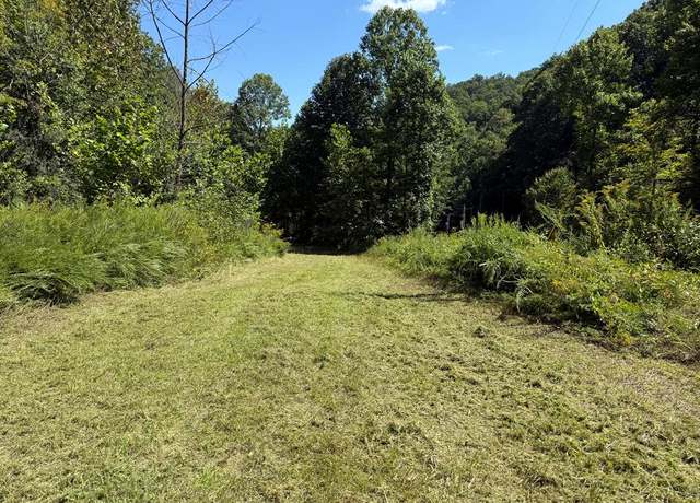 Property at 0 00, Mccarr, KY 41544