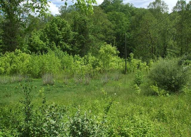 Property at 0 Little Elk Hode Road, (D 38 P 137 & D 48 P 341), Warfield, KY 41267